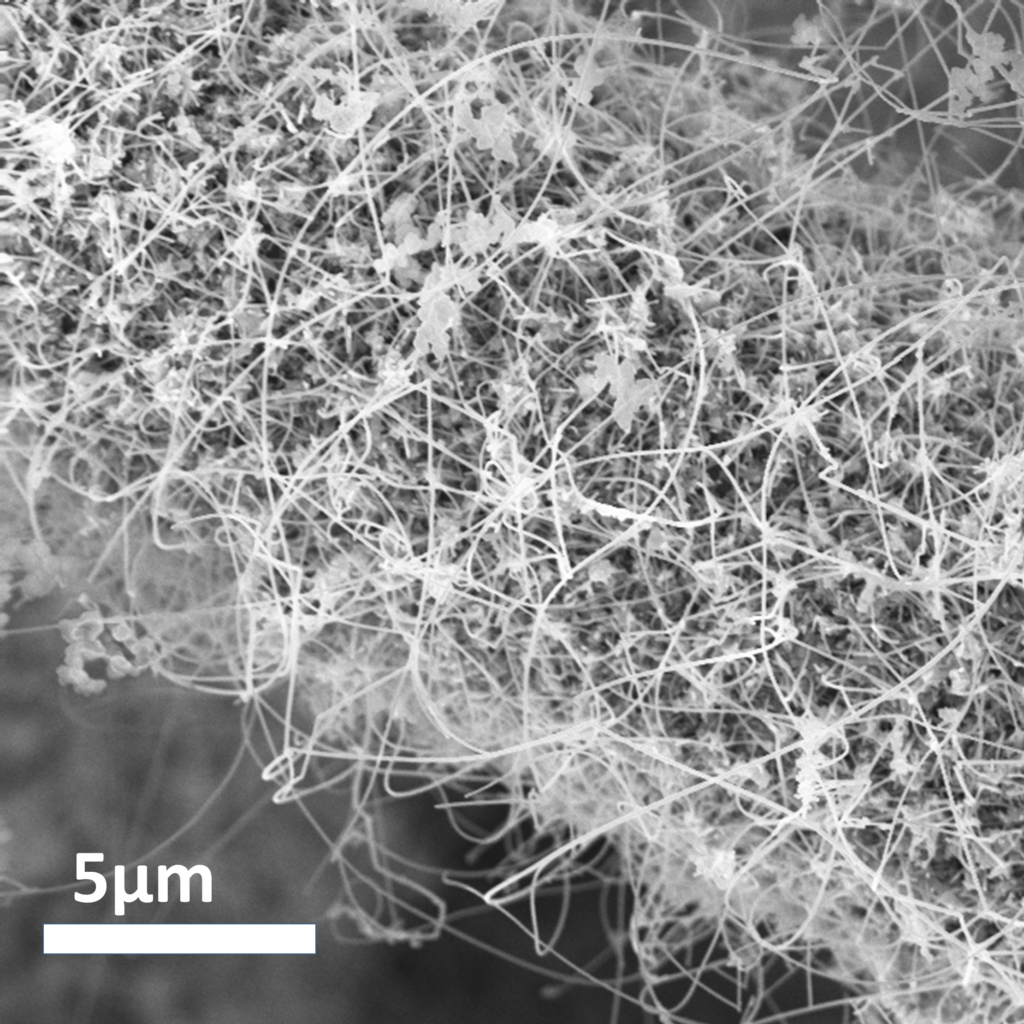 SEM image of nanowires
