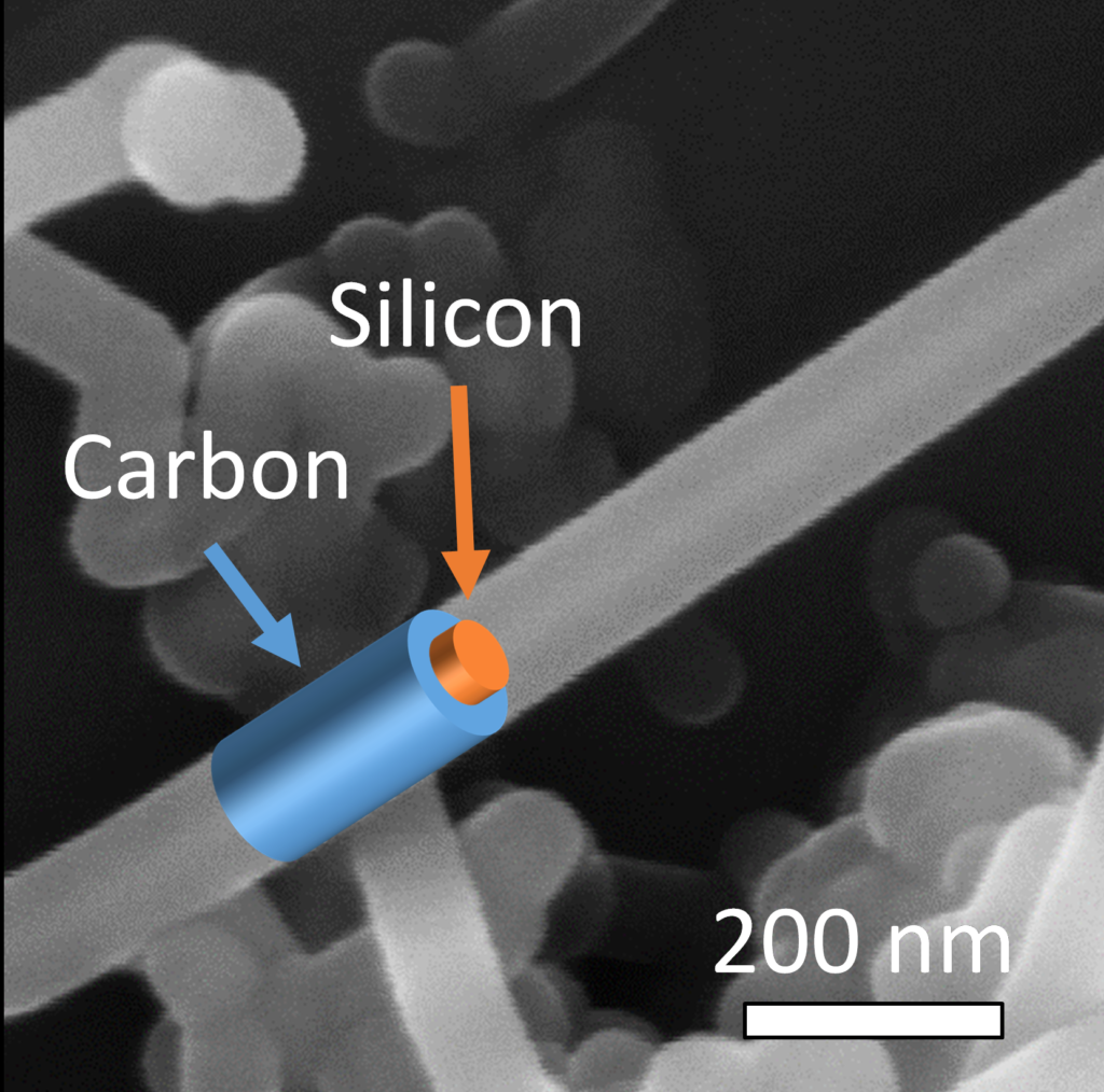 SEM image carboncoated Si nanowire
