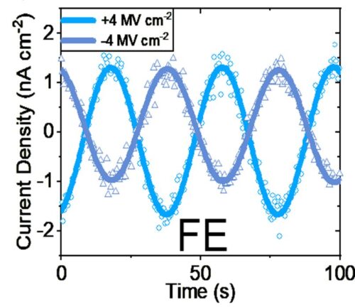 Hafnium Oxide Based Piezo- And Pyroelectric Materials | NaMLab gGmbH